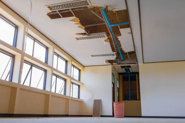 Best Water damage cleanup near me  in Spring Creek, NV