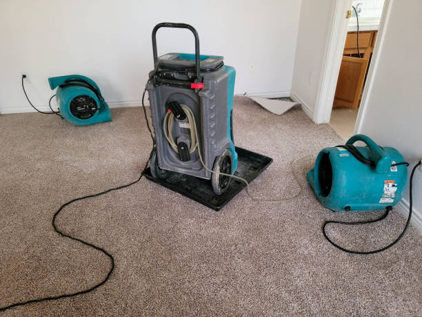 Best Basement water damage restoration  in Spring Creek, NV