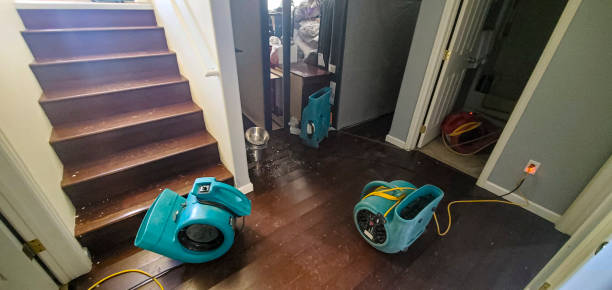 Trusted Spring Creek, NV Water damage restoration Experts