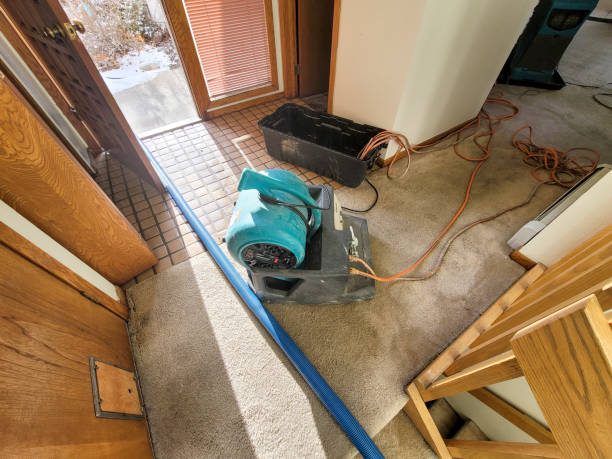 Best Water damage repair service  in Spring Creek, NV
