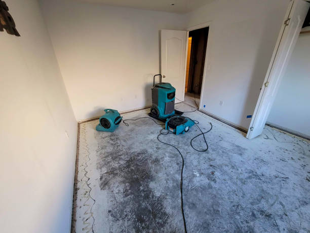Best Fire Damage Restoration  in Spring Creek, NV