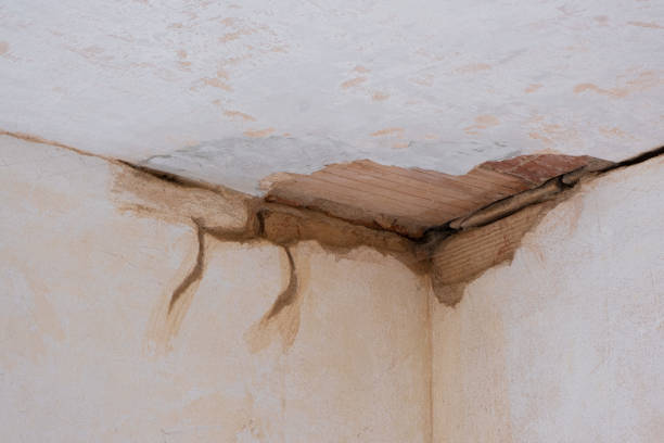 Best Flooded house restoration  in Spring Creek, NV