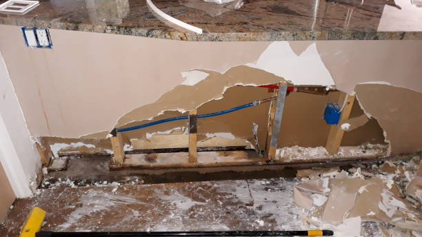 Best Local water damage restoration  in Spring Creek, NV