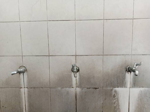 Best Commercial water damage restoration  in Spring Creek, NV