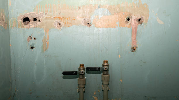 Best Ceiling water damage repair  in Spring Creek, NV