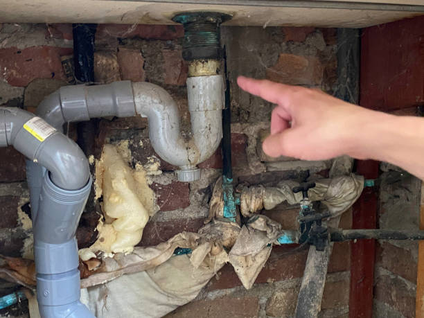 Best Water damage restoration near me  in Spring Creek, NV
